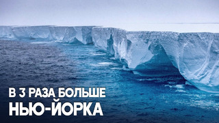 Как дрейфует самый большой в мире айсберг