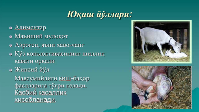 Инфекционные болезни. ТПЗ (Касымов И.А.)
