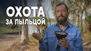 Что расскажет пыльца учёным в Австралии