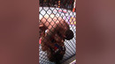 Matt Brown is SCARY!! ? #shorts