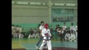 Taekwon-do gtf tornado team