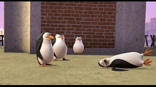 Пингвины Мадагаскара 1сезон 26сериа