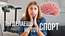 А есть ли смысл ходить в спортзал