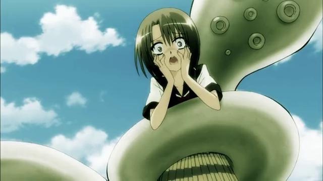 AMV – Успела на концерт