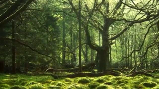 История мира Толкиена – Как Попасть в Мордор Все Пути к Тёмному Властелину