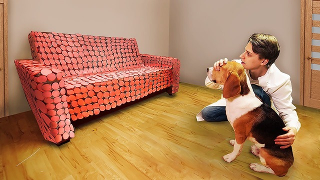 Реакция собаки на диван из колбасы