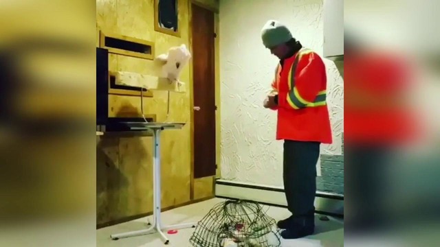 Rofltime (#6) ◆ fails | funny moments | jokes | january 2018