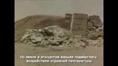 Иван-дурак или просто Вано