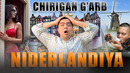 CHIRIGAN G’ARB #1 – NIDERLANDIYA. BOTQOQLIKLARDAGI TARAQQIYOT
