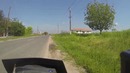 Мото Девушку подрезала Лошадь