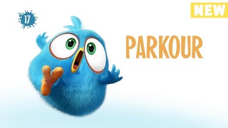 Angry Birds Blues – Паркур s01e17