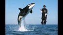 So Wrong For This – The Snoop Whale Cry