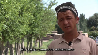 Технология нулевой обработки почвы (Узбекистан)