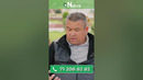 ТРАВМАТОЛОГ – ОРТОПЕДЛАР МАСЛАҲАТ БЕРГАН ТАБИИЙ ГИЁҲЛАР ЖАМЛАНМАСИ