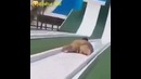 Толстяк в аквапарке
