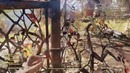 Дмитрий Бэйл – Fallout 76 – Битва Против СуперМаунтов Вместе с WeloveGames