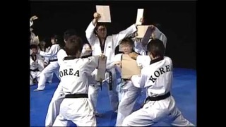 The Korean National Taekwondo Demonstration Team