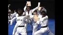 The Korean National Taekwondo Demonstration Team