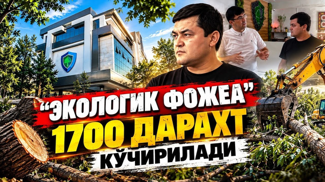 1700 ДАРАХТ ТАҚДИРИ: ВАЪДА БЕРИЛДИ, АММО НЕГА БАЖАРИЛМАДИ