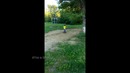 Best cube #151
