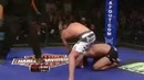 Лучший удар ногой в голову в истории ММА