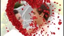 Roses Wedding Album