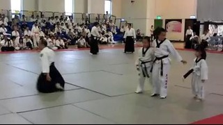 Taekwondo Versus Aikido (Fun)
