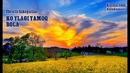 Koʻylagi yamoq bola | Кўйлаги ямоқ бола