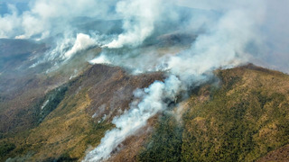 На Кубе больше недели тушат сильный лесной пожар