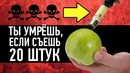 Топ 5 Дай 5 – Правда или Ложь (Ты умрёшь, если съешь 20 сердцевин яблока)