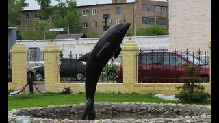 Чёрный дельфин