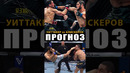 Бой Роберт Уиттакер – Икрам Алискеров ПРОГНОЗ #ufc #мма #mma