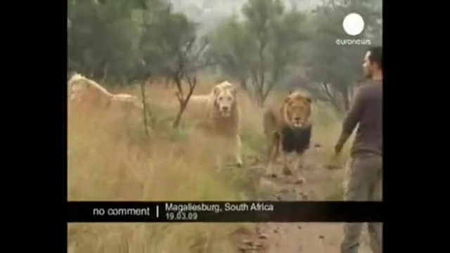 Кевин Ричардсон – свой среди своих