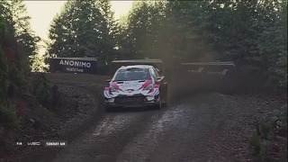 WRC 2019 Round 06 Chile Review