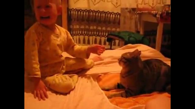 Кот против ребенка