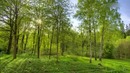 Год пролетел за 40 секунд