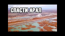 Спасти Арал! На дне озера высадили 500 тысяч гектаров саксаула