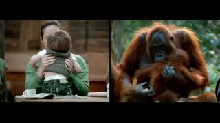 WWF показал, как похожи люди и звери
