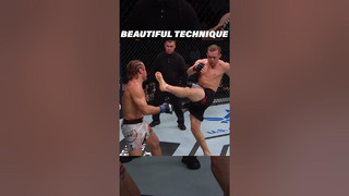 Petr Yan Has Beautiful Technique!! #mma #ufc