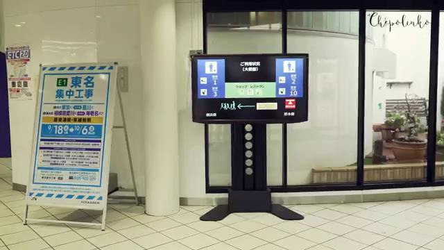 Общественные туалеты в Японии, или Что такое цивилизация