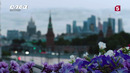 След – 4 серия | 2025 Новые легавые