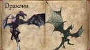 Вселенная The Elder Scrolls – Зверорасы