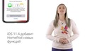 Новости Apple, 256 выпуск: iOS 12 и три камеры в iPhone