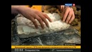 Наука 2.0. Большой скачок. Палеонтология