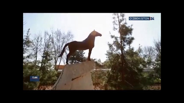 Махсус репортаж