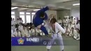 Мастер самообороны