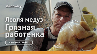 Ловля медуз | Грязная работенка | Discovery