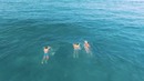 Ed Sheeran, Calvin Harris, DJ Snake – We Were Young (Official Video by Trending Now)