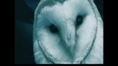 Within Temptation – Mother Earth (2002)