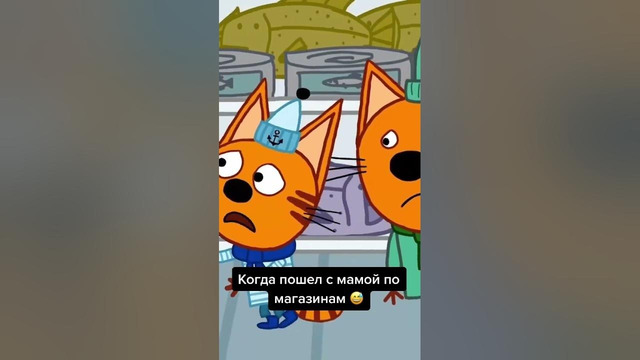 Занятие на весь день 🤣 Три Кота